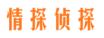 和平区侦探公司